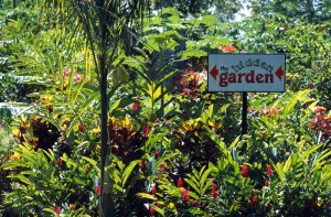 Samoa - Apia - Hidden Garden