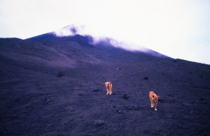 America Centrale - Guatemala - vulcano Pacaya