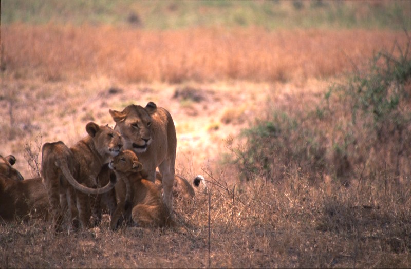 kenya-tanzania_I_26