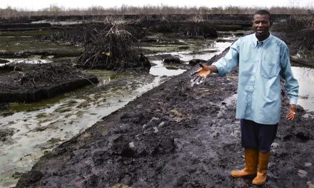 Delta Niger vs Gulf of Mexico. Oil – petrolio