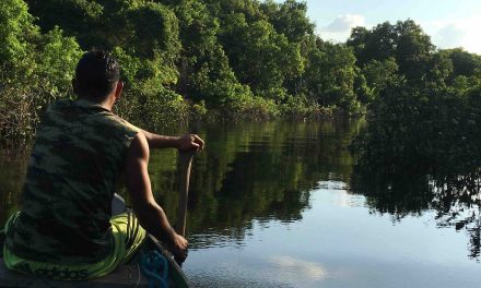 Amazon river: tra Peru Colombia e Brasile 2016