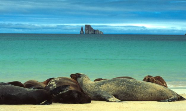 Immagini Galapagos Ecuador