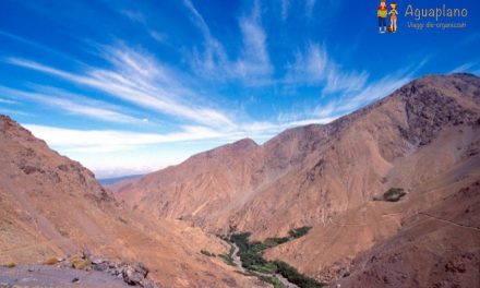 Marocco: un trekking sui Monti dell’Atlante