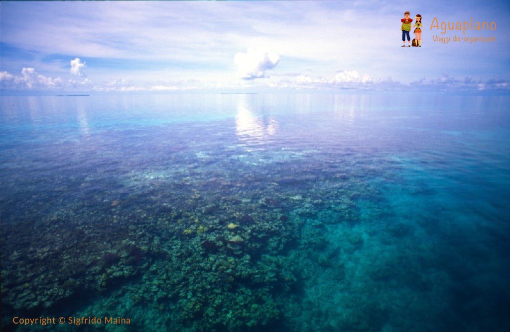 Caye Caulker Blue Hole