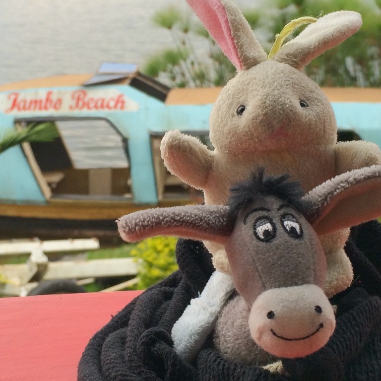 The Donkey and The Rabbit on Lake Kivu, Rwanda!