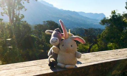 The Donkey and The Rabbit in Mulanje Mountains, Malawi