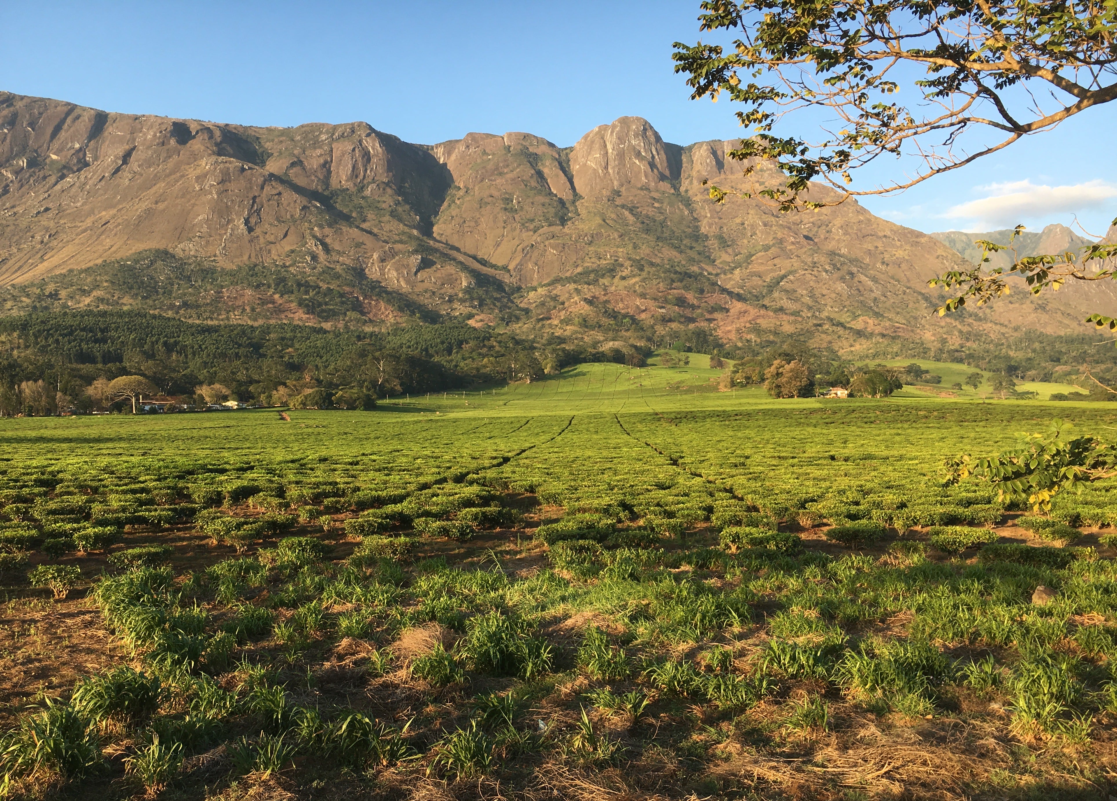 Trekking-in-Malawi